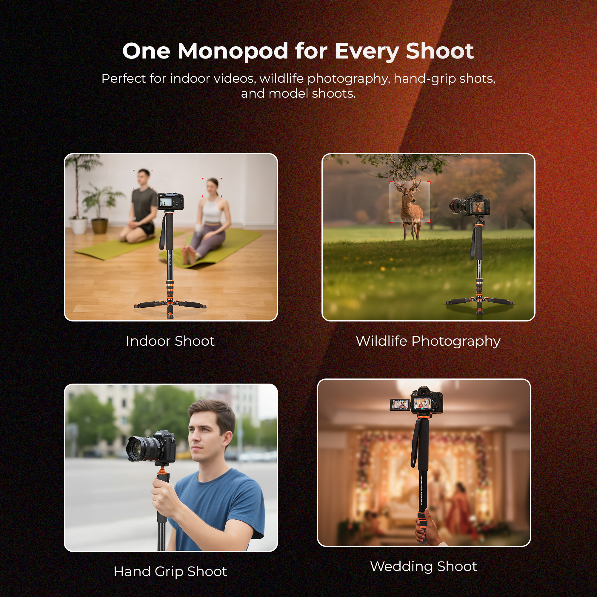 Digitek Platinum (DPMP 170) Portable Camera Monopod